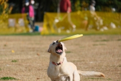 6671