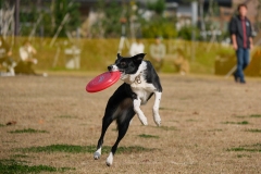6736