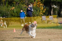 6964