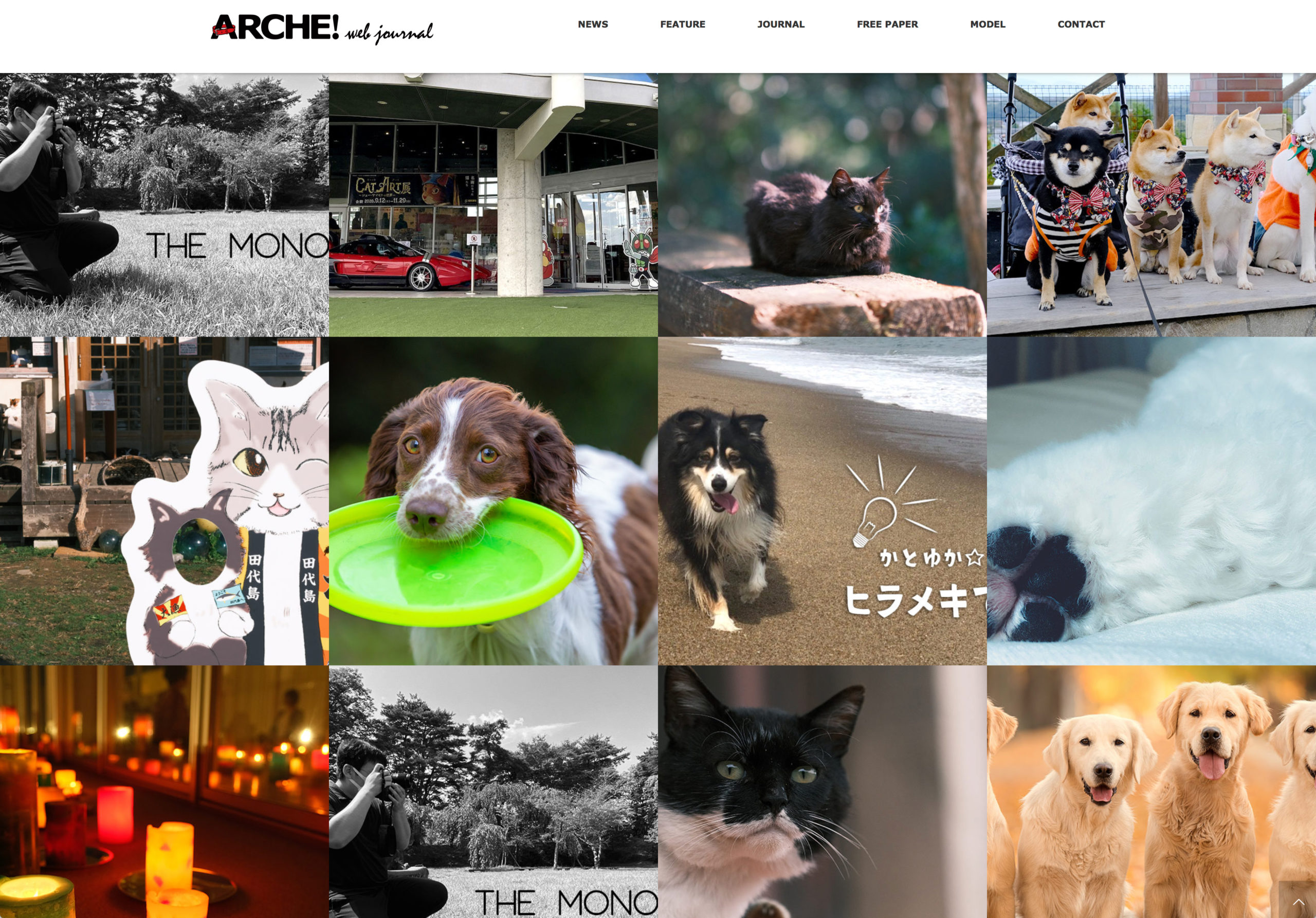 ARCHE! Web Journal ｜ 宮城・仙台のペット情報はアルシュ！