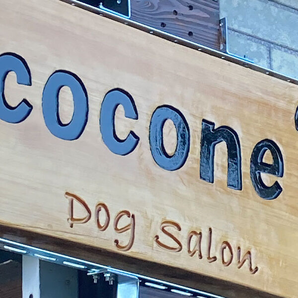 new open 「dog salon　cocone」