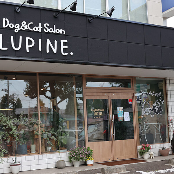 Dog&Cat Salon LUPINE. nomine cafe.