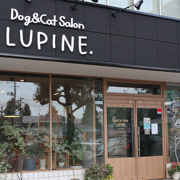 たまにはわんこを開放しよう　Dog&Cat Salon LUPINE. nomine cafe.