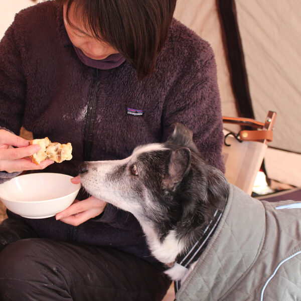 Dogs and Camping♪