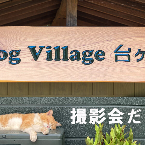 ARCHE! 撮影会 in Dog Village 台ヶ森