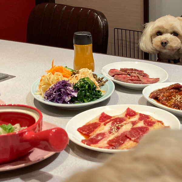 愛犬と一緒に焼肉パーティー　ひがしやま六丁の目店