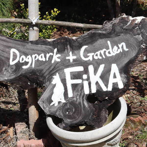 4つのフィールド　Dog park & Garden FiKA