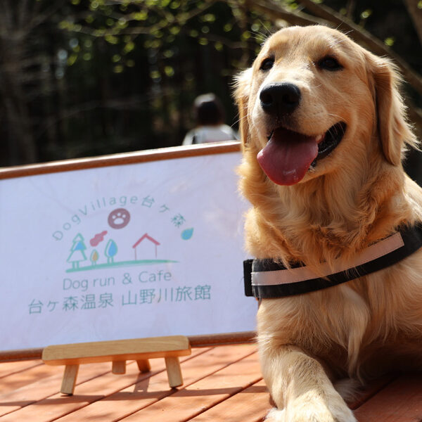 ARCHE!撮影会 in DogVillage台ヶ森