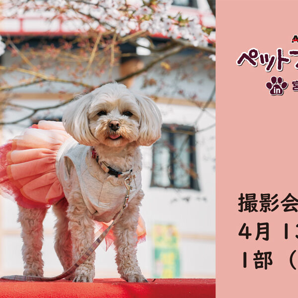 ARCHE!撮影会 in ペットフェス2024春 ～４月13日（土）１部～