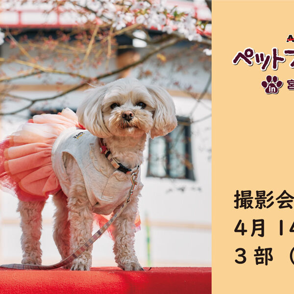 ARCHE!撮影会 in ペットフェス2024春 ～４月14日（日）3部～
