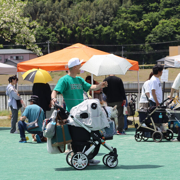 行ってきました！　犬楽園フェスタ2024