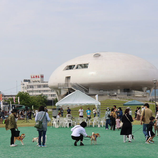 行ってきました！　犬楽園フェスタ2024