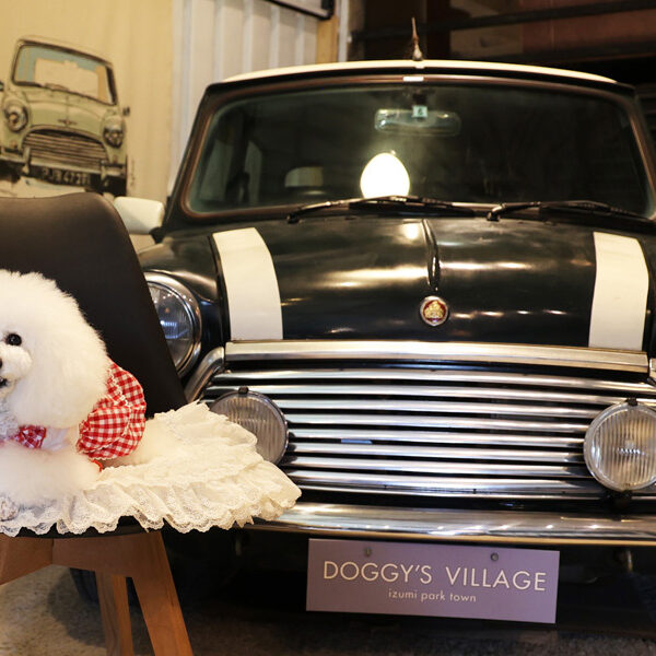 東北初!? 大型倉庫ドッグカフェ　The Dog Cafe dy DOGGY’S VILLAGE