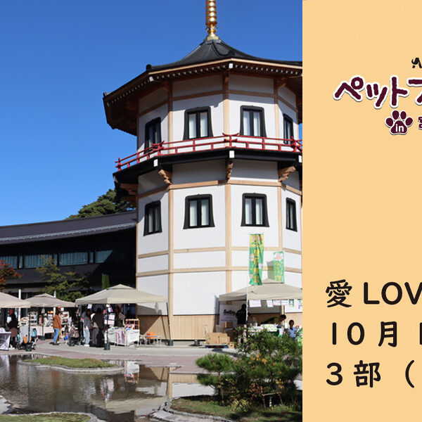 ペットフェス2024秋　ARCHE!愛LOVEペット撮影会 in 宮城県松島離宮～10月12日（土）3部 13：30～