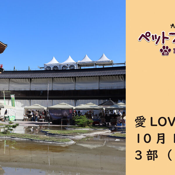 ペットフェス2024秋　ARCHE!愛LOVEペット撮影会 in 宮城県松島離宮～10月13日（日）3部 13：30～