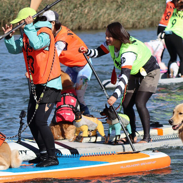 愛犬と楽しめるDOG SUPのレースが名取市閖上で開催