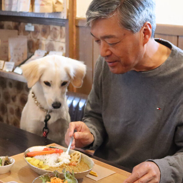 親子で作るお茶の味　茶舗 福ノ葉堂