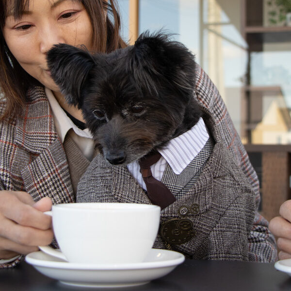 新鮮なコーヒー豆と出会えるお店　coffee 焙煎所 LAKE