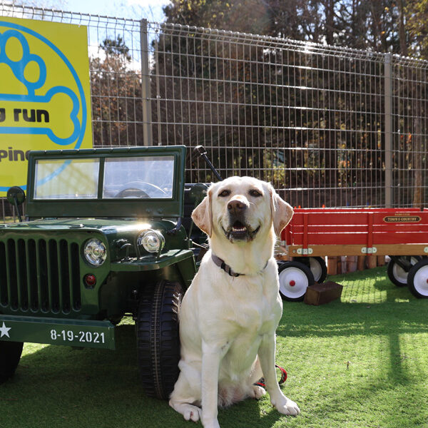 スノーランも楽しめる　Dog run Happiness