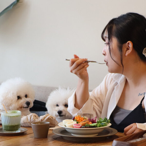 未来を見据えたカフェレストラン　MUKU