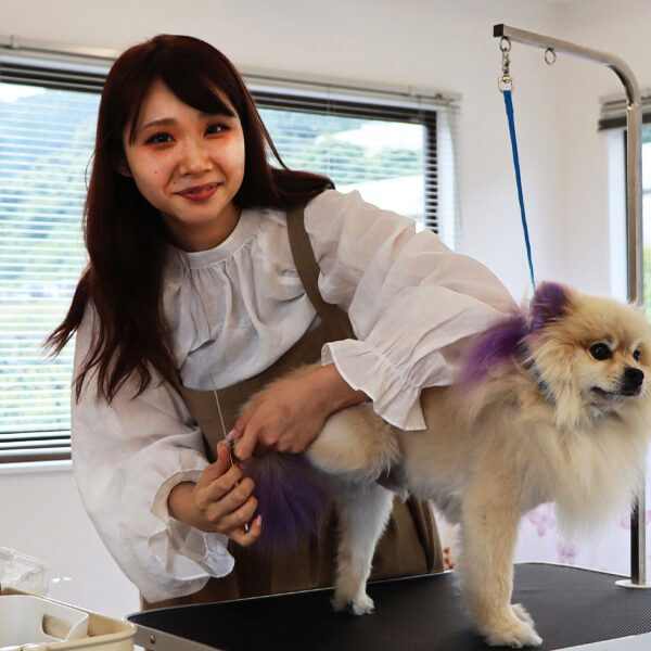 NEW OPEN   Dog salon neu