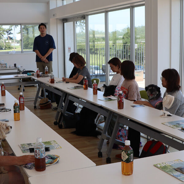 Mission!　「ぺこふる」の味を確かめよ！