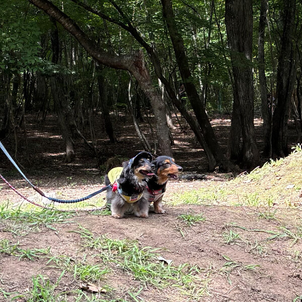 ARCHE!撮影会 in Dog Village 台ヶ森