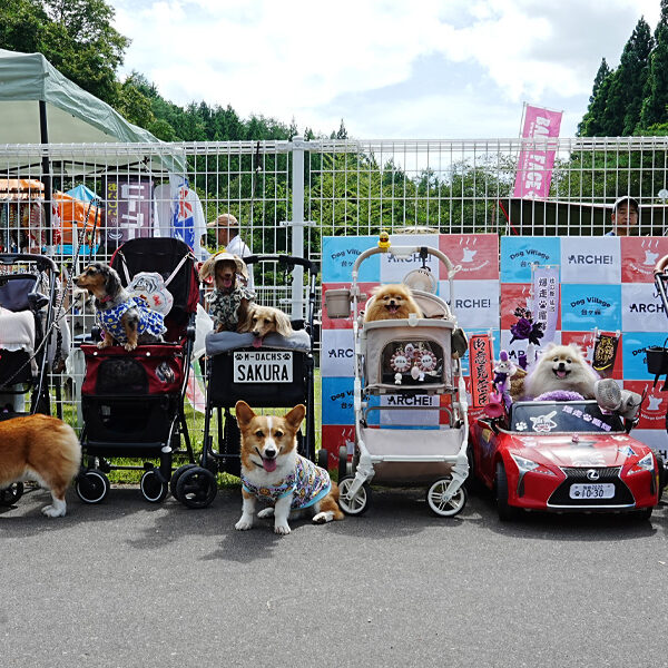 ARCHE!撮影会 in Dog Village 台ヶ森