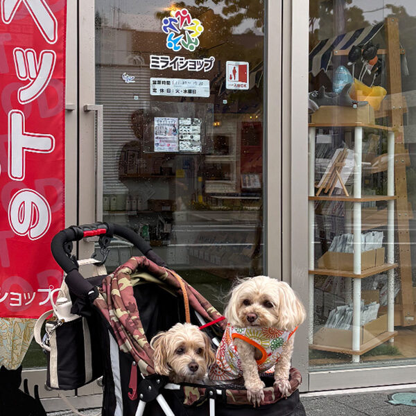 どんなおやつが好みかな　ミライショップ
