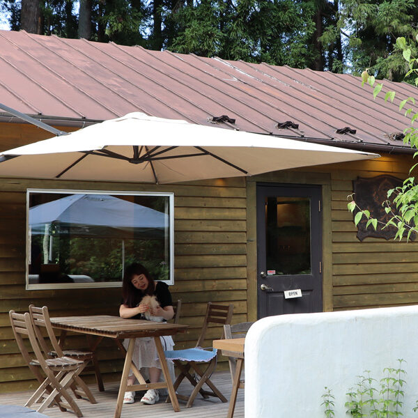 四季の移ろいを楽しめる 生石庵