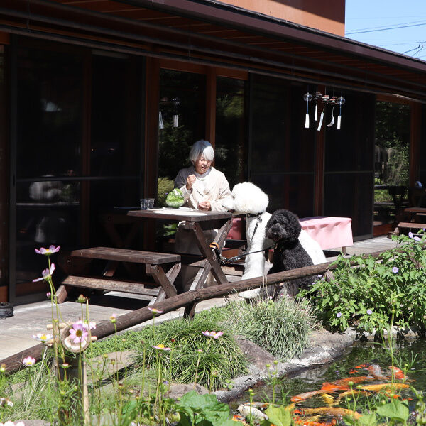 素敵なお庭でほっこりと　庭園喫茶錦