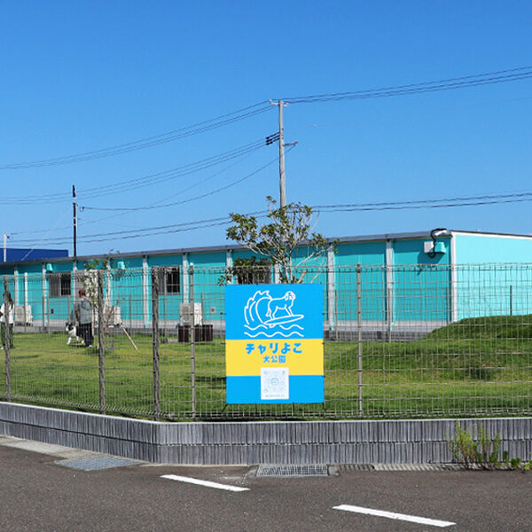 のびのび遊べるドッグラン　チャリ横 犬公園