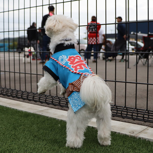 ARCHE!撮影会 in Dogrun & Cafe さんぽ