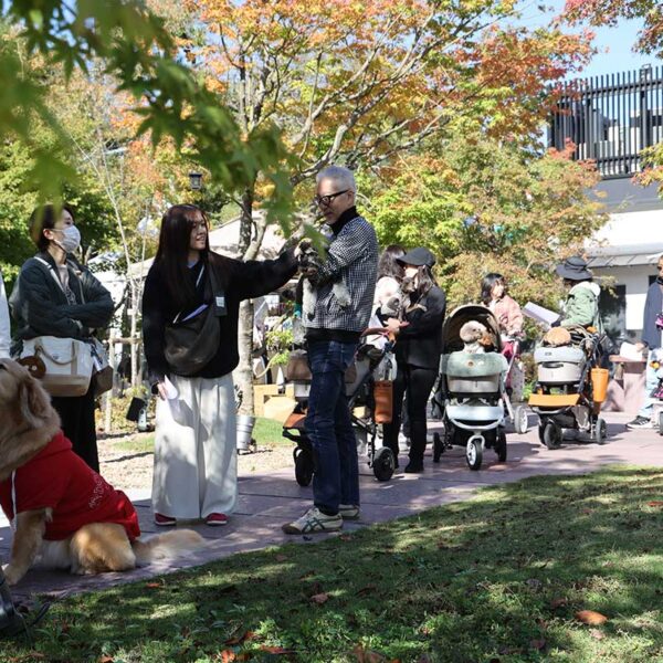 ARCHE! presents ペットフェス2025秋 in 宮城県松島離宮 撮影会のご案内