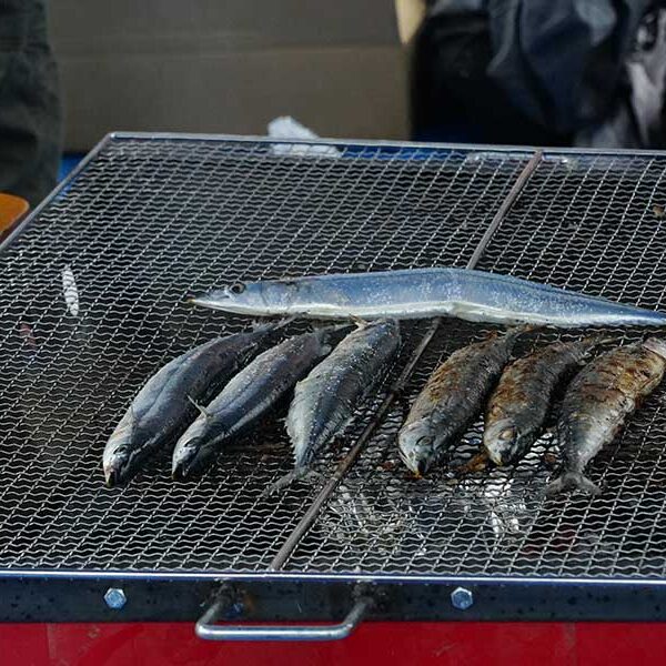 ARCHE!愛犬撮影会 in  あいホーム泉パークタウン朝日