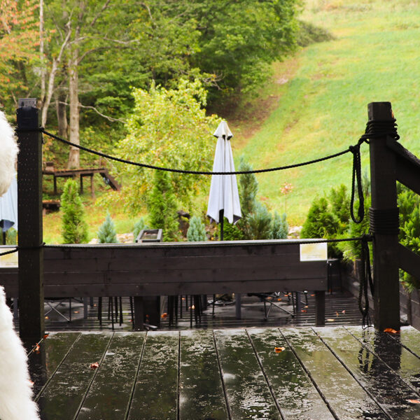 紅葉を見ながらゆっくりしませんか　UNITE CAFE