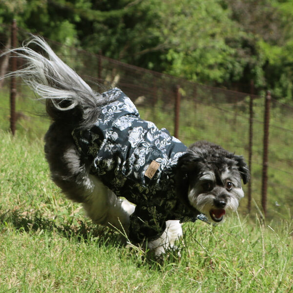 NEW OPEN! 自然の地形を生かしたドッグラン　ECOTTO（エコット）