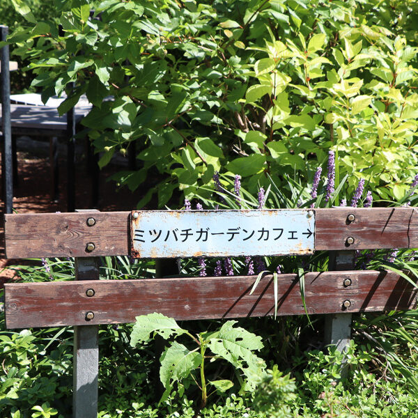 花と緑に囲まれた　ミツバチガーデンカフェ