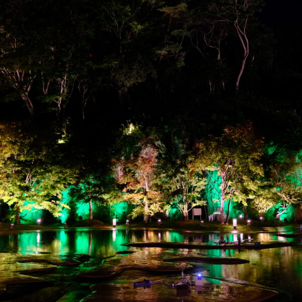 ロマンチックナイト・フォトコンテスト入賞作品