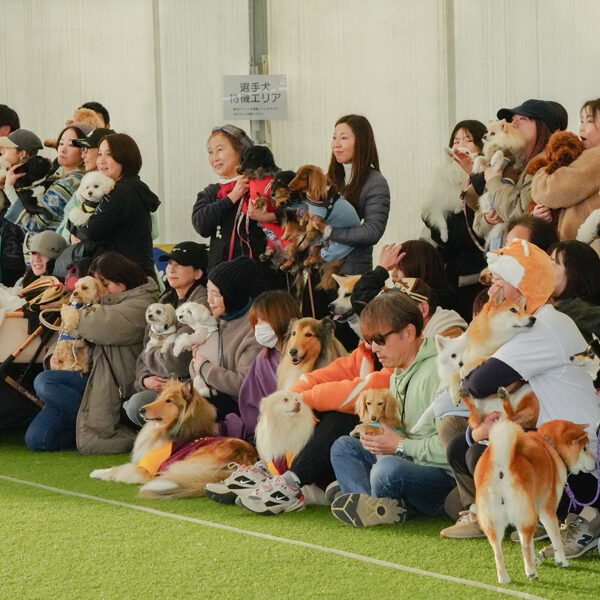 『ガモリンピックSENDAI 2025 秋祭』 in ガモウパーク　撮影会