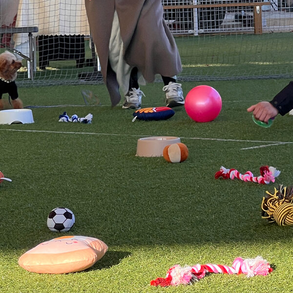 ガモリンピックSENDAI 2025 秋祭 in ガモウパーク　撮影会1122