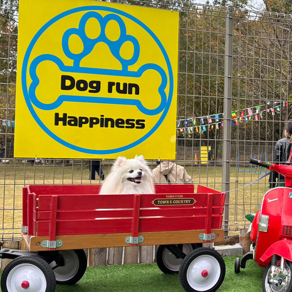 ARCHE!撮影会 in Dogrun Happiness