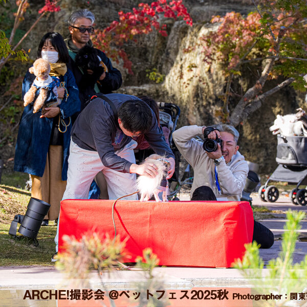 ARCHE! presents ペットフェス2025秋 in 宮城県松島離宮 撮影会