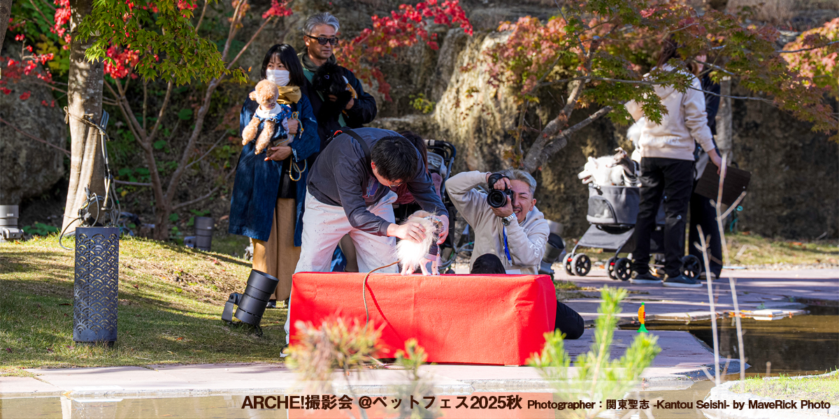 ARCHE! presents ペットフェス2025秋 in 宮城県松島離宮 撮影会