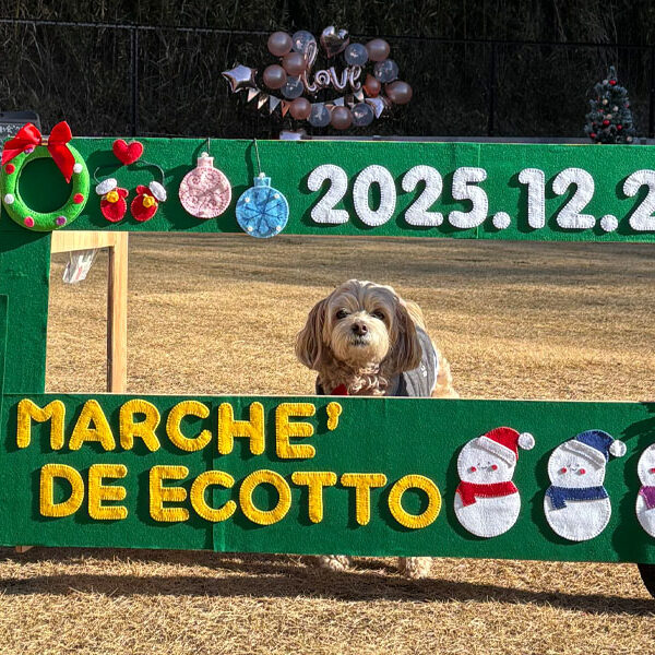 ARCHE!撮影会 in ECOTTO