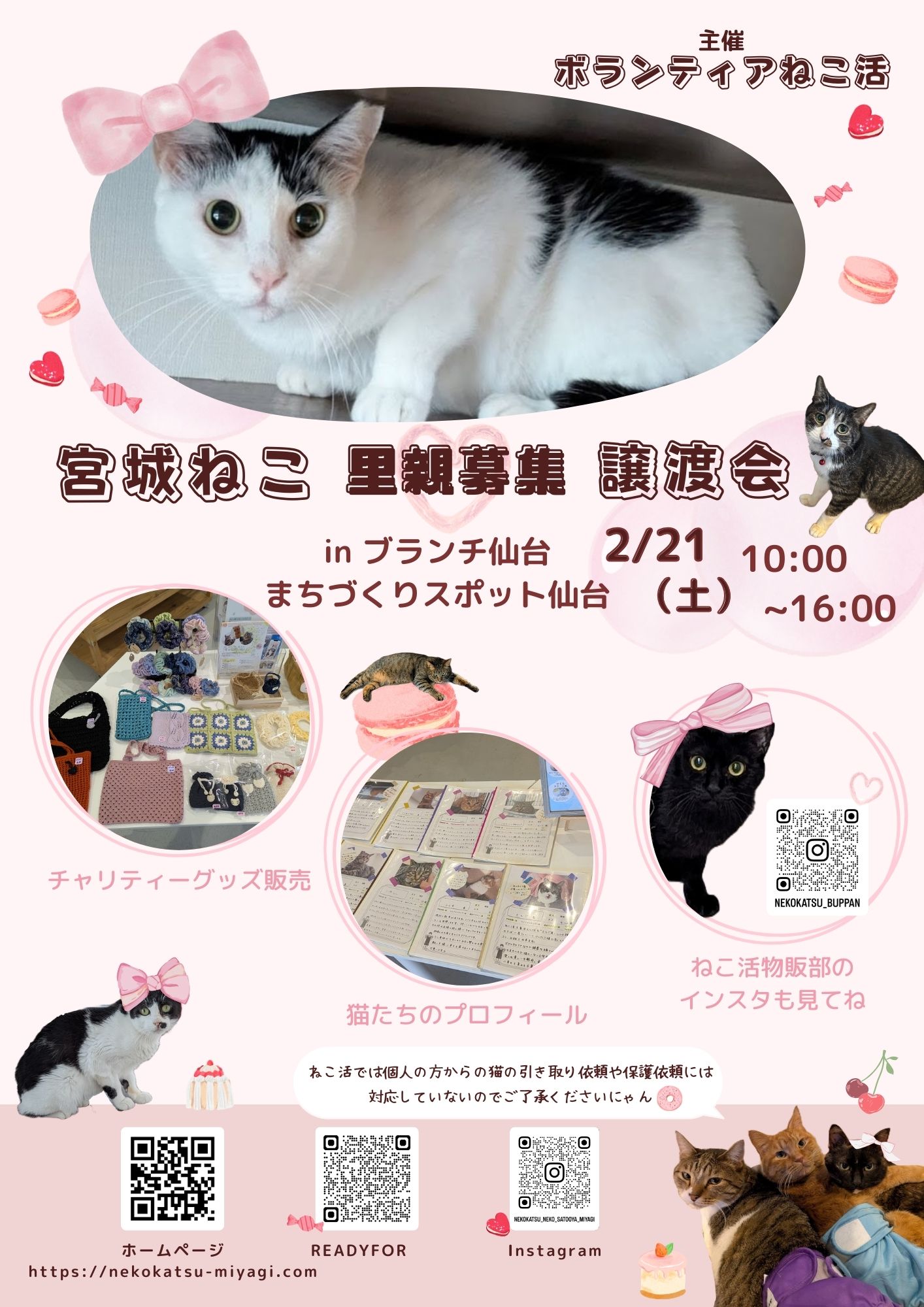ねこままさま専用♡注文ページ 宮城ねこ 里親募集 譲渡会 in ブランチ仙台 まちづくりスポット仙台