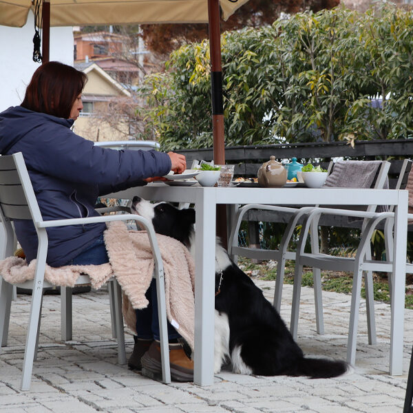 薪窯で焼くナポリピッツァの専門店　pino isola VESTA