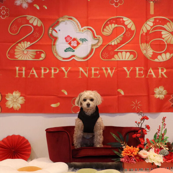 食事も満点のドッグカフェ　ROY CAFE