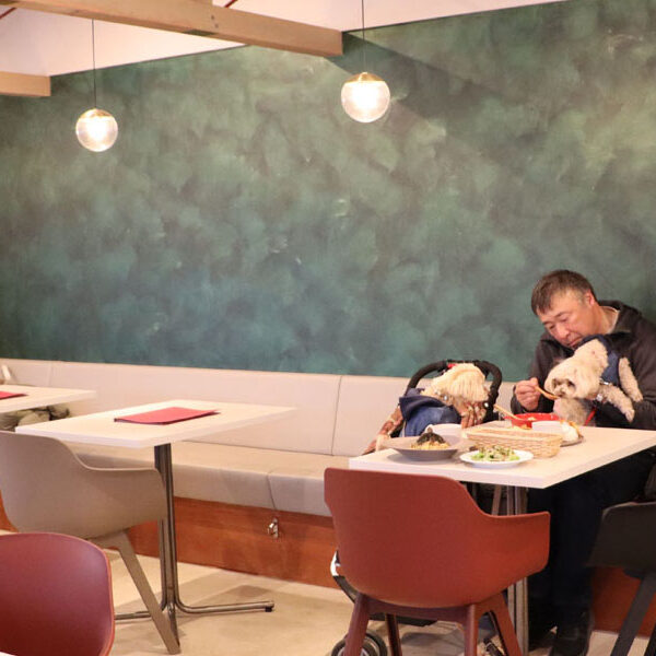 食事も満点のドッグカフェ　ROY CAFE