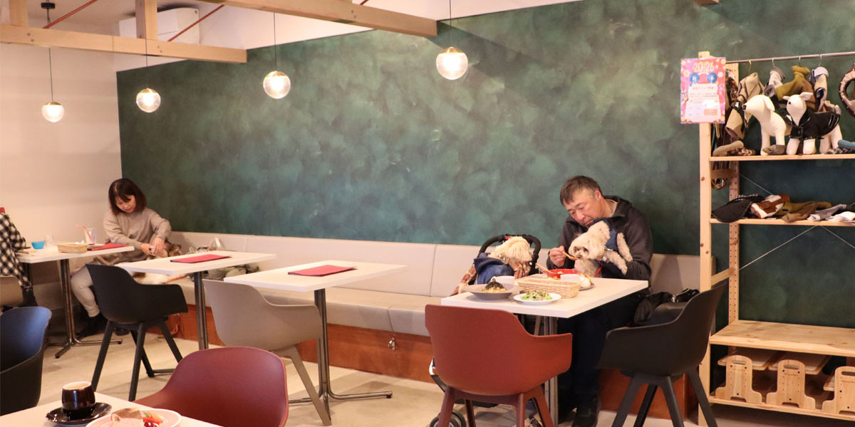 食事も満点のドッグカフェ　ROY CAFE